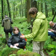 Dialogforum „Bürgerwissenschaften in Schutzgebieten“: Anmeldefrist läuft Freiwillige bei Quellforschung im Wald