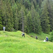 Freiwilligencamps in der Biosphärenregion Berchtesgadener Land Menschen in gebückter Arbeitshaltung auf Bergwiese mit Wald im Hintergrund