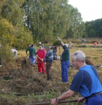 Förderprojekt 2012: Tag der Freiwilligen im NSG „Steinwiesen“ (NRP Erzgebirge/Vogtland) Freiwillige rechen Mähgut auf einer Wiese