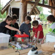 Jubiläumsaktion im Juni: Freiwilligen-Nachwuchsförderung im BR Bliesgau Kinder schauen sich eine Eidechse im Terrarium an