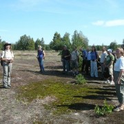 Naturwacht Brandenburg: Dankeschön-Exkursion für Freiwillige Ranger und Exkursionsteilnehmer in der Heide