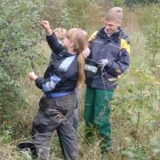 Hilfe für Eichen und Herbstschmaus aus Beeren Jugendliche pflücken Schlehen vom Strauch