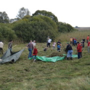 Ausgezeichnete Freiwilligenprojekte stärken biologische Vielfalt Etwa 20 Personen harken eine Wiese, zwei große Planen liegen auf dem Boden.