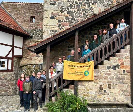 und 20 Erwachsene stehen auf einer Treppe, eingefasst in eine alte Mauer, vor sich ein Banner "Ehrensache Natur".